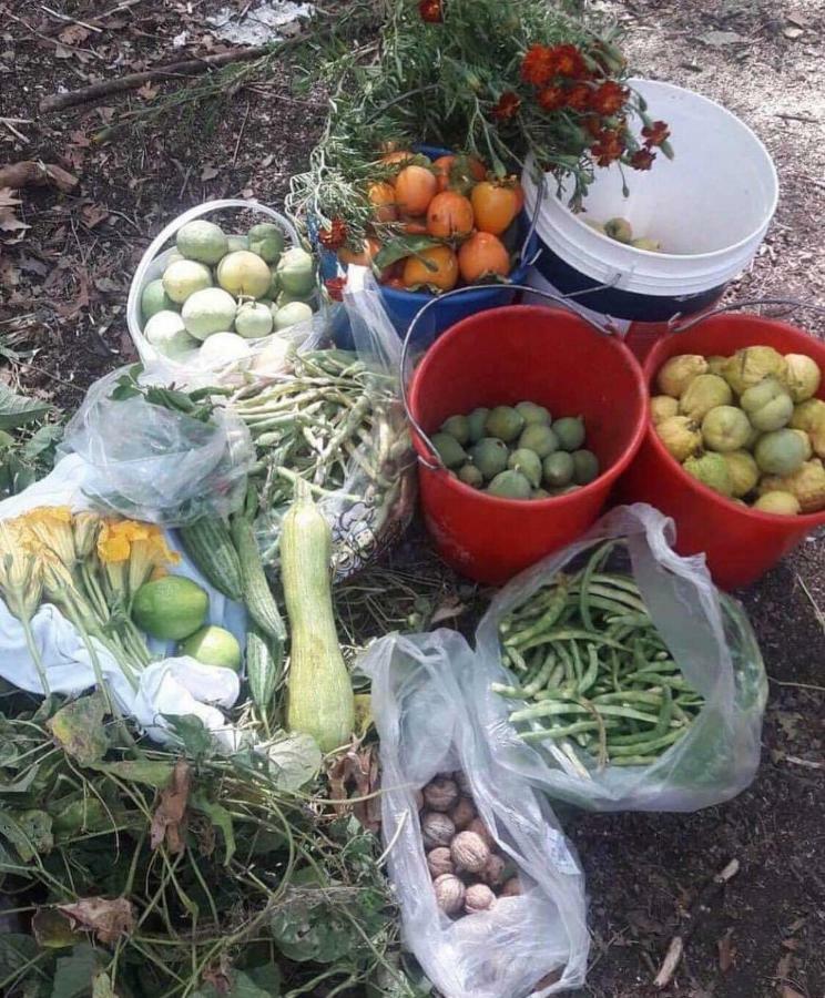 Sykopetra Lasmari'S Bouquet المظهر الخارجي الصورة