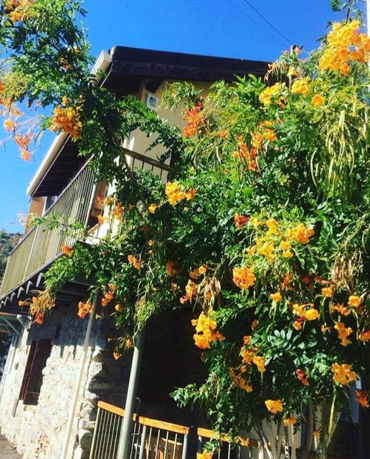 Sykopetra Lasmari'S Bouquet المظهر الخارجي الصورة