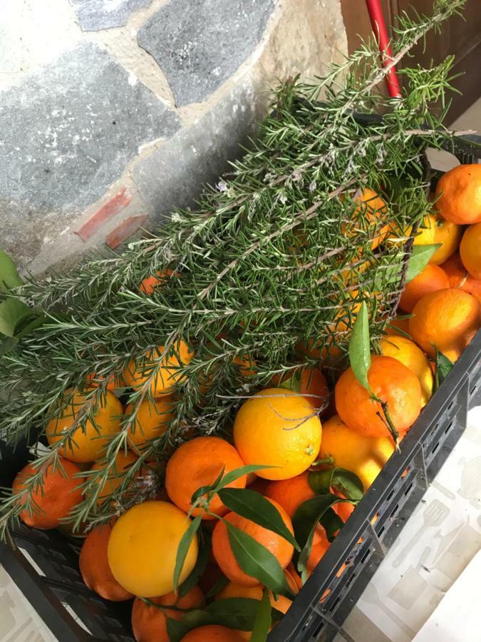 Sykopetra Lasmari'S Bouquet المظهر الخارجي الصورة